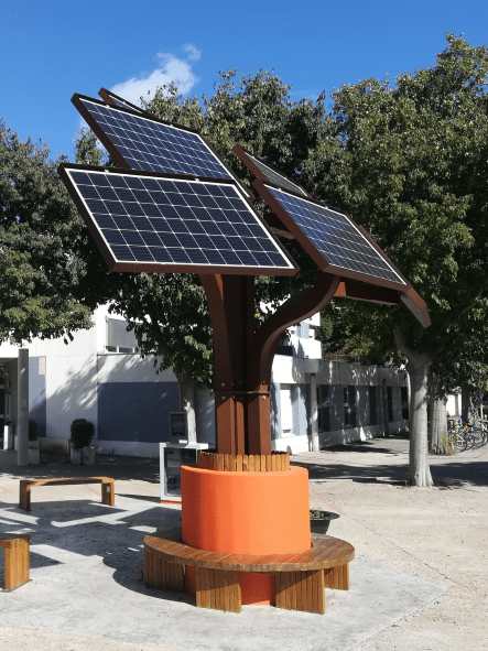 ARBRE SOLAIRE